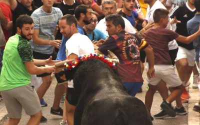 Los actos más relevantes en las fiestas del torico 2018