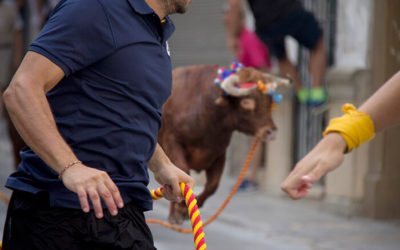 El Torico de la Cuerda de Chiva 2019 ya ha empezado