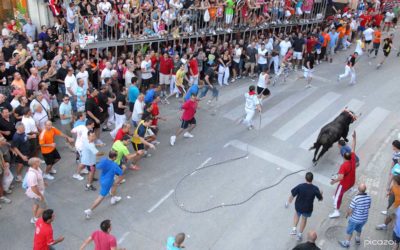 El Torico de la Cuerda de Chiva, declarado Fiesta de Interés Turístico Autonómico