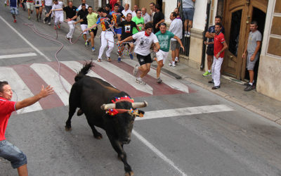 Que tener en cuenta a la hora de elegir las ganaderías para las fiestas