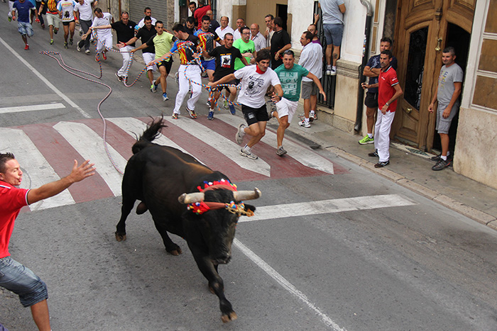 Ganderías de el Torico de Chiva