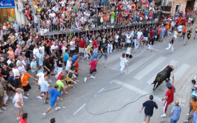 Recomendaciones para disfrutar de El Torico de la cuerda