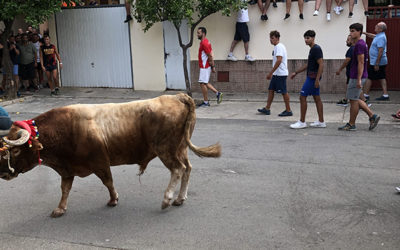 Balance de las fiestas del Torico