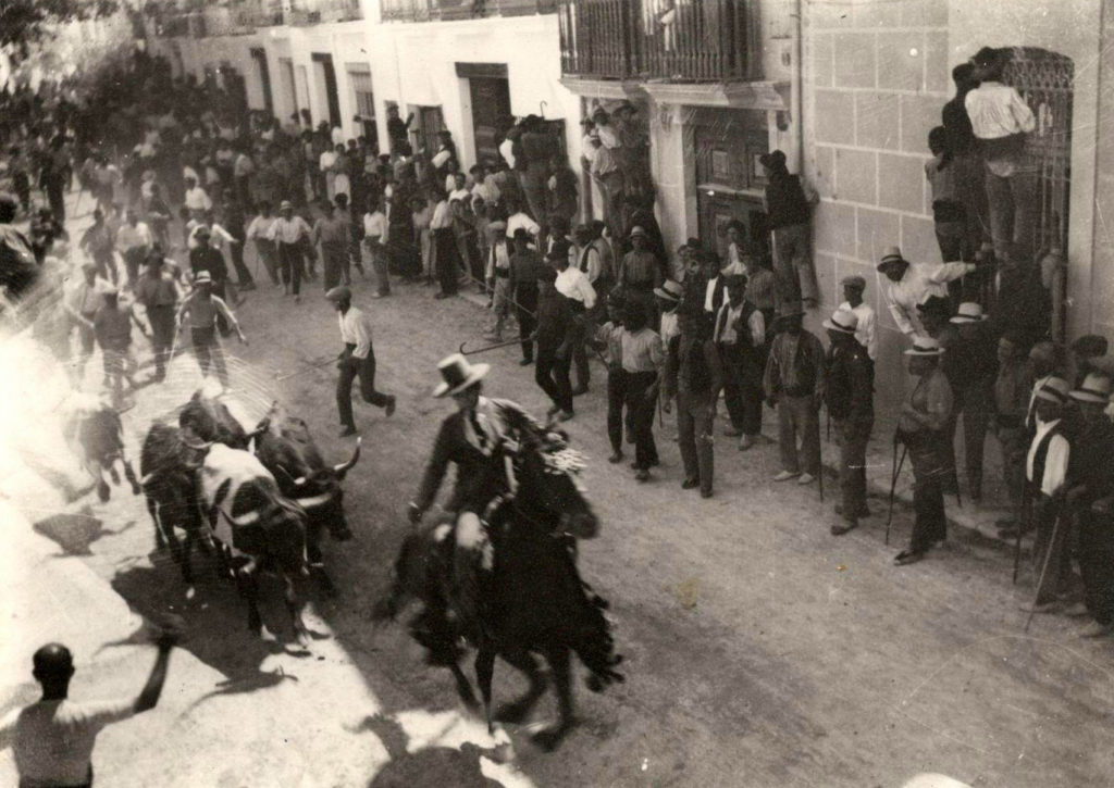 Entrada de vacas y toros.