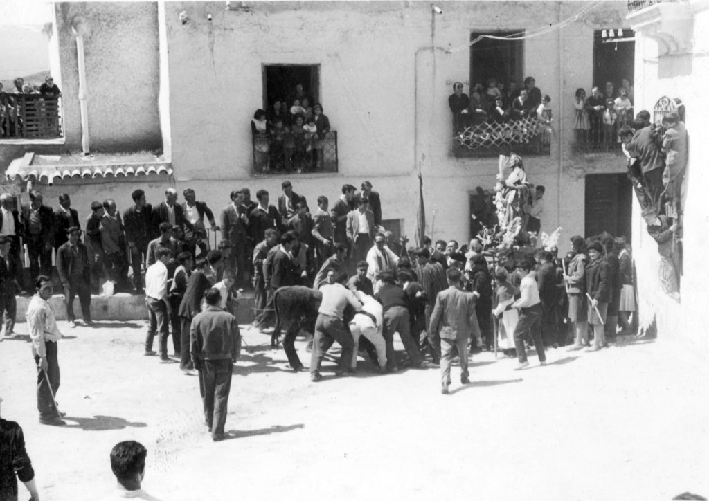 Fotografía del Toro de San Marcos en Ohanes. Web de la Federación Española de Toro  con cuerda.